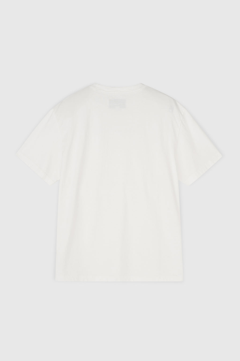 Drug Reference Washed T-shirt_ White