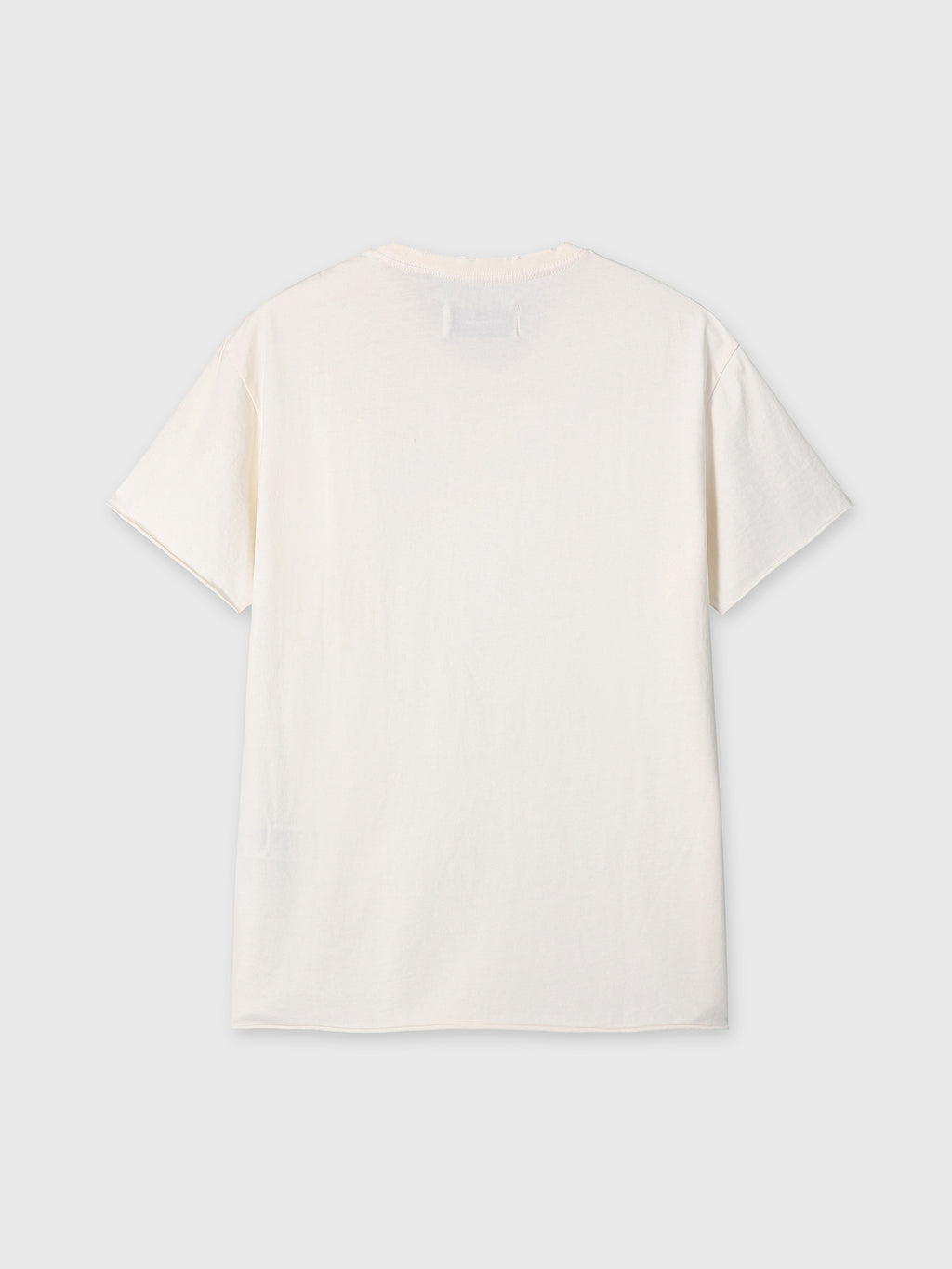 GARMENT DYED RAW EDGE T-SHIRT_ SALT PIGMENT