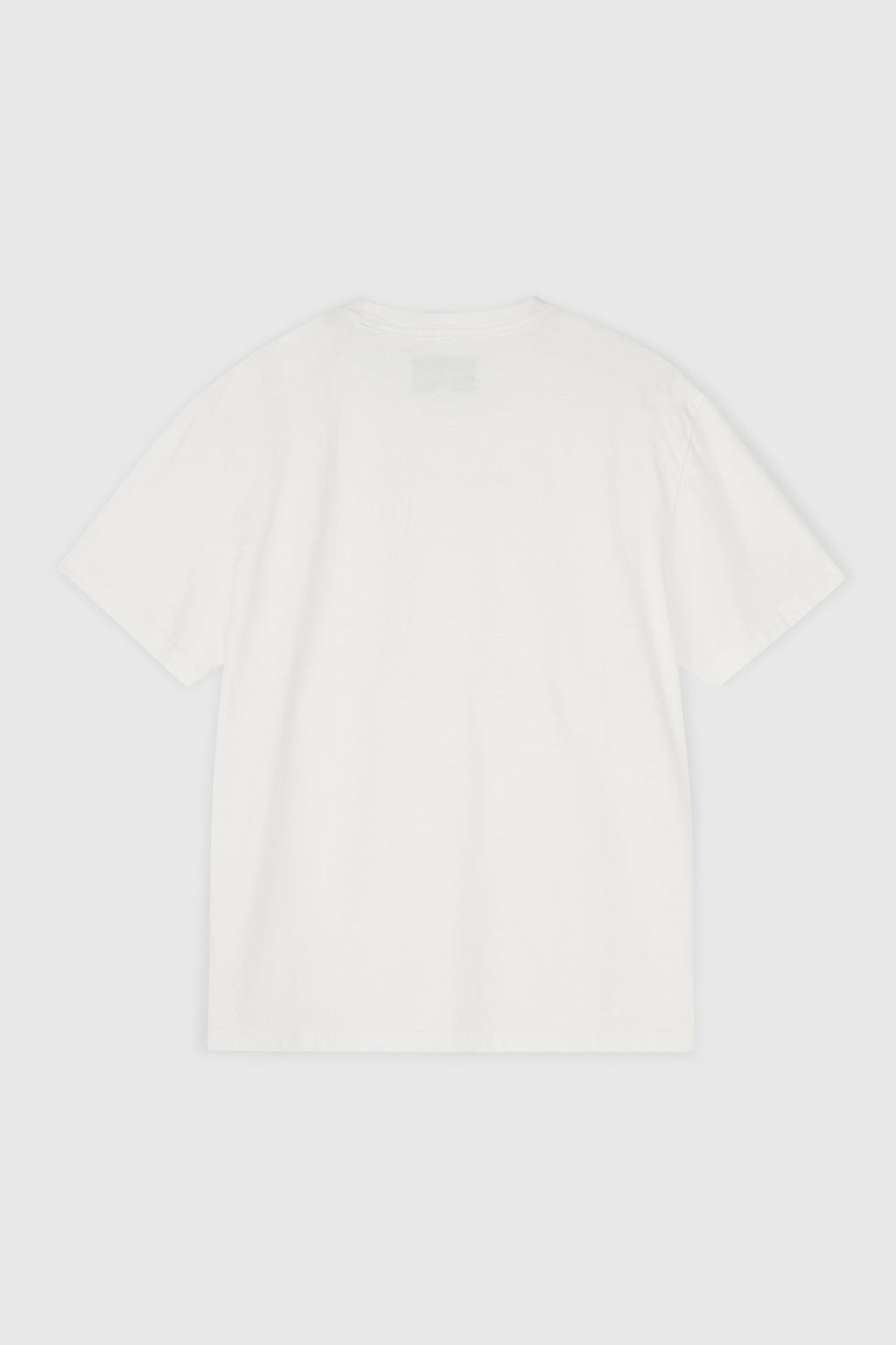 Savior Washed T-shirt_ White