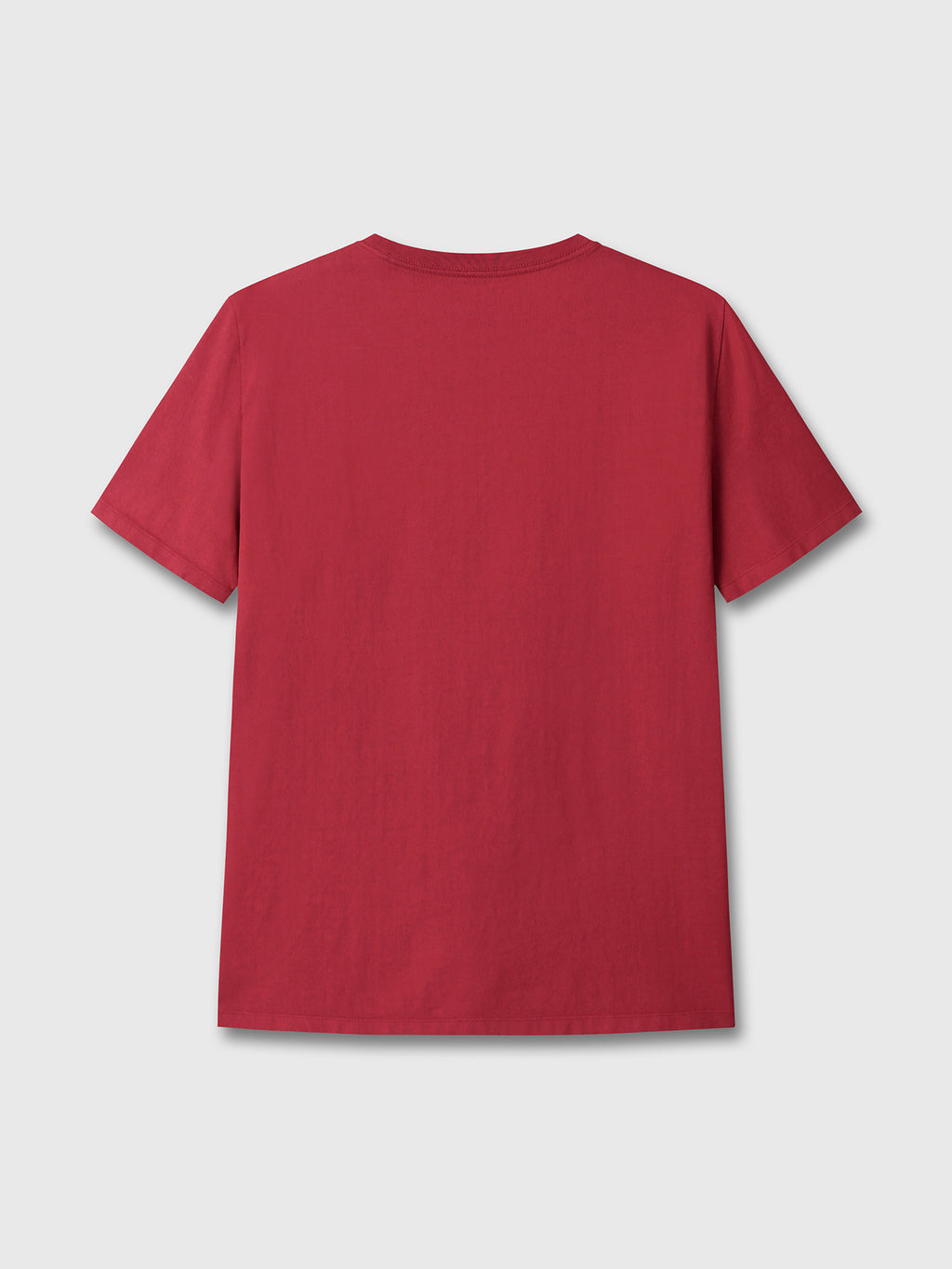 SOCIAL DISTORTION GARMENT DYED T-SHIRT_ RED PIGMENT